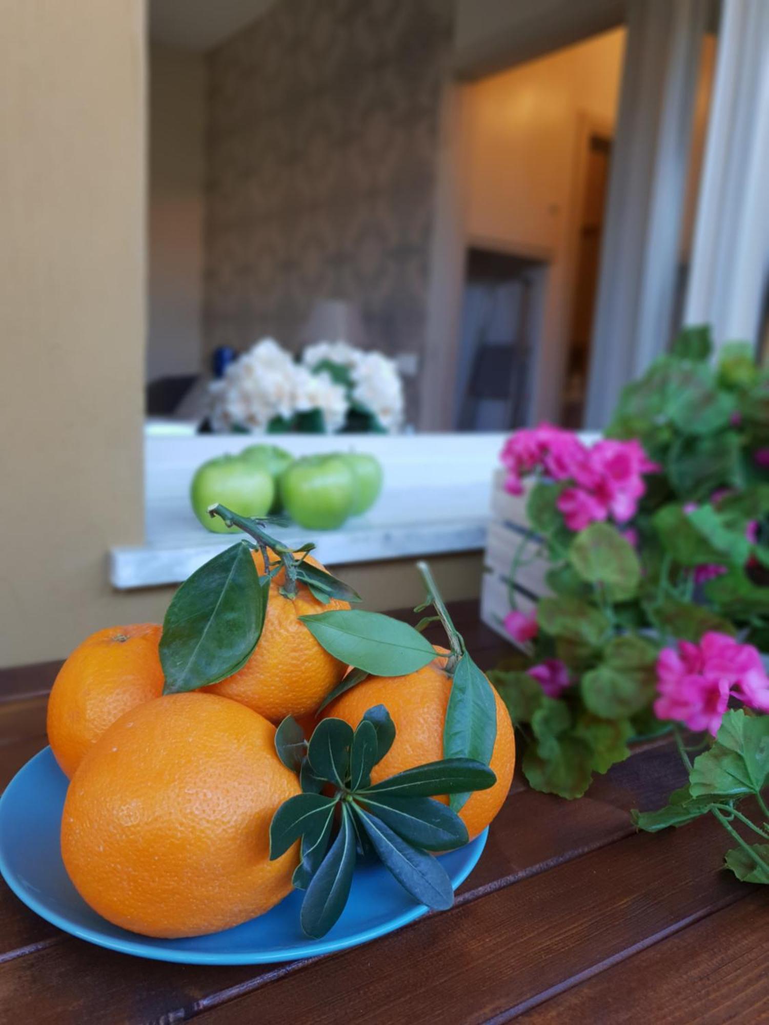 Versilia Apartment フォルテ・デイ・マルミ エクステリア 写真
